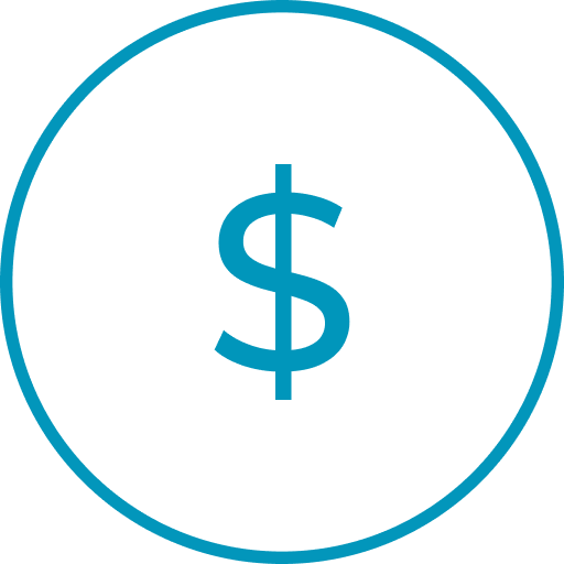 Currency Icon